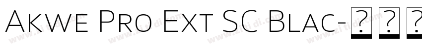 Akwe Pro Ext SC Blac字体转换